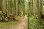 2014-07-05_Laengental-N-Hochweg (364). JPG